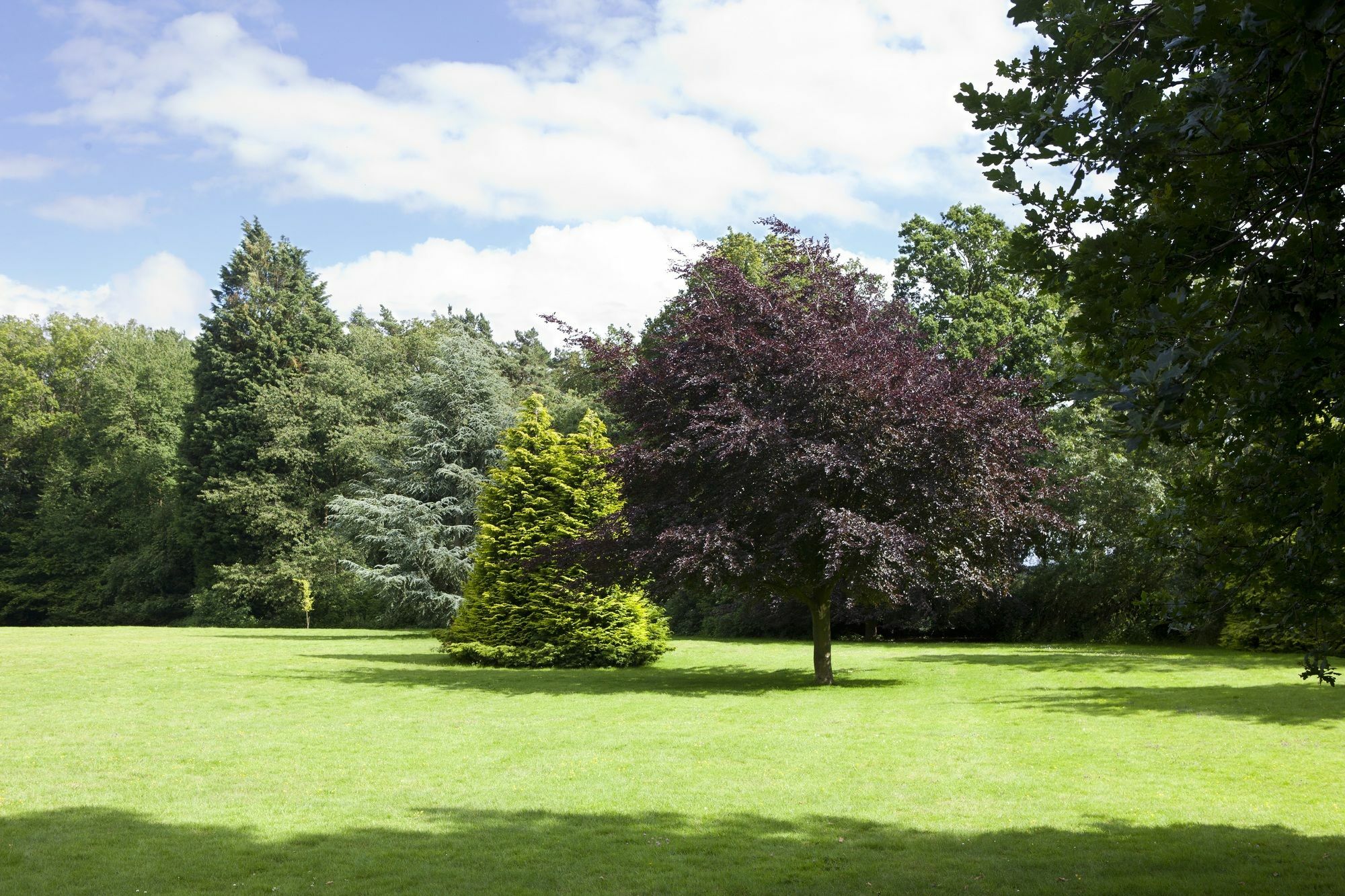 Audleys Wood Hotel, Basingstoke Dış mekan fotoğraf